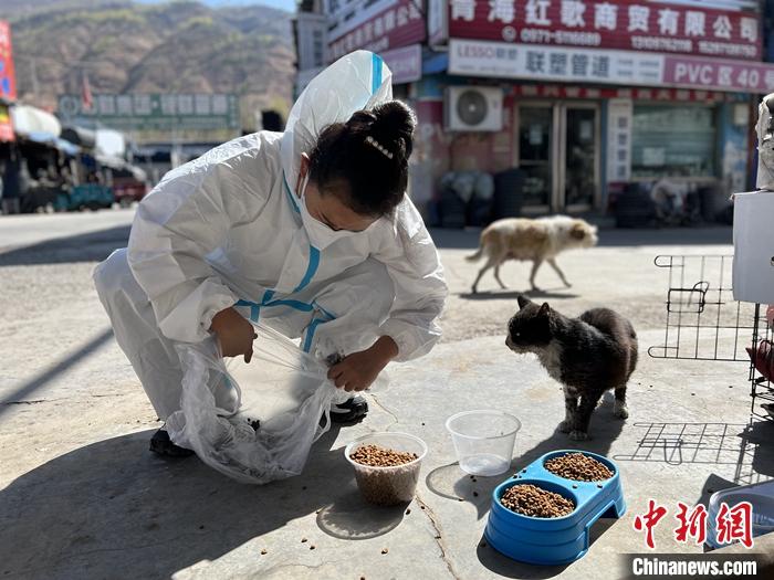 青海西宁：志愿者发起行动照顾疫情下“留守宠物”